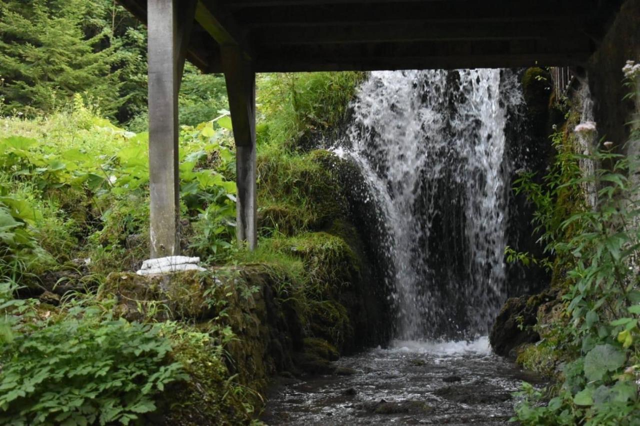 Villa Wooden House With A Waterfall "Stipanov Mlin" à Plitvička Jezera Extérieur photo